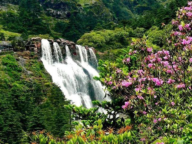 “篮”不住的精彩!黄山市和美乡村篮球邀请赛(村BA)火热开赛